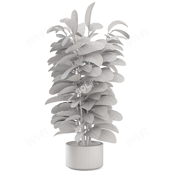 Rusty Concrete Pot Indoor Plants 3D model image 7