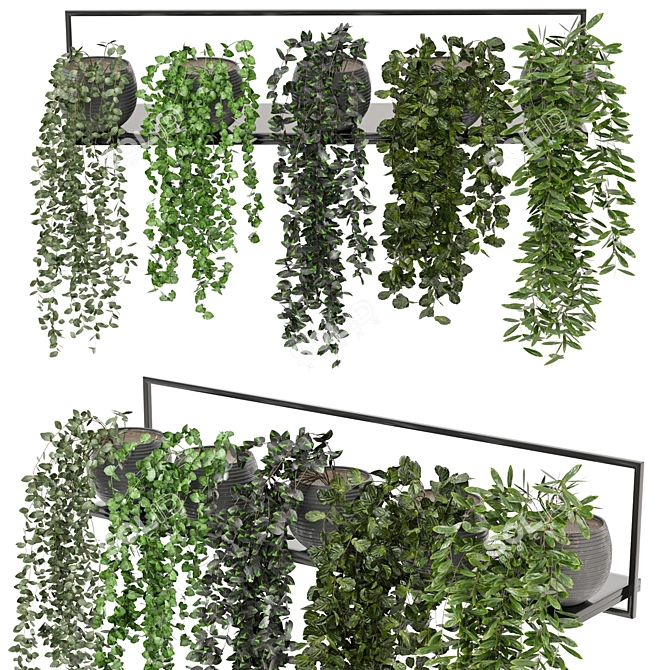 Modern Indoor Plants on Metal Shelf - Set 239 3D model image 1