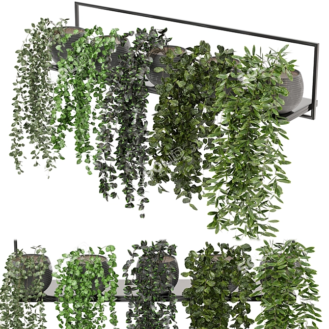 Modern Indoor Plants on Metal Shelf - Set 239 3D model image 2