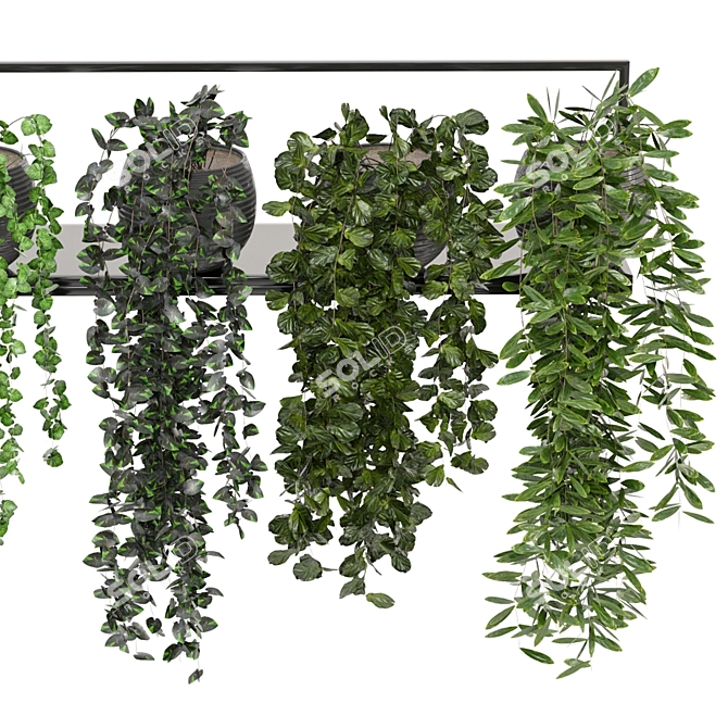 Modern Indoor Plants on Metal Shelf - Set 239 3D model image 3