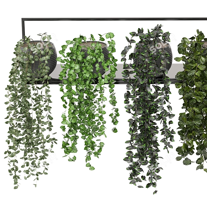 Modern Indoor Plants on Metal Shelf - Set 239 3D model image 4