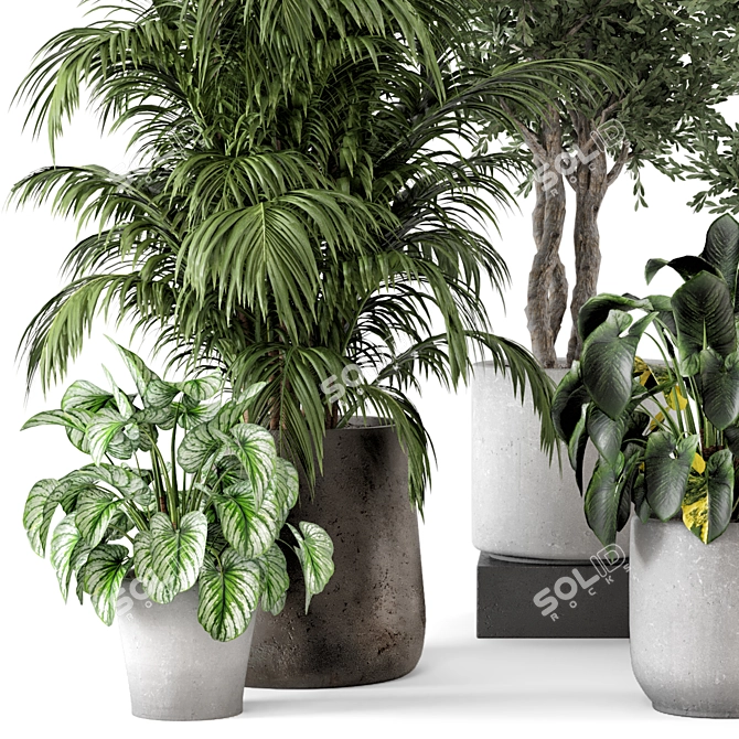 Rustic Concrete Pot Indoor Plants - Set 506 3D model image 5