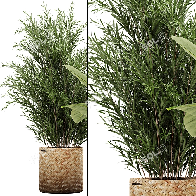 Lush Greens: Indoor Plant Set 3D model image 4