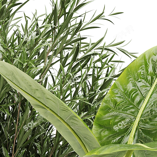 Lush Greens: Indoor Plant Set 3D model image 6