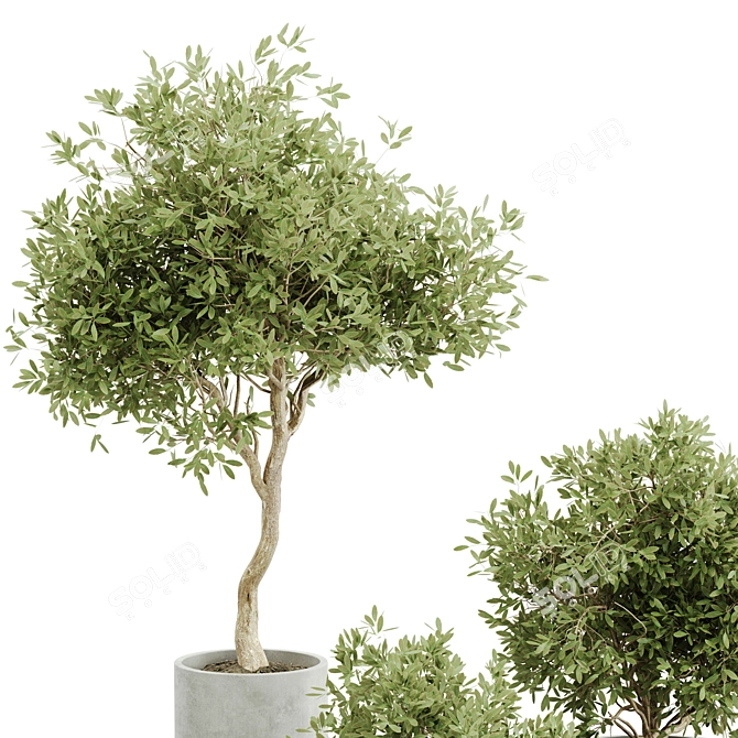 Green Oasis Indoor Plant Set 3D model image 3