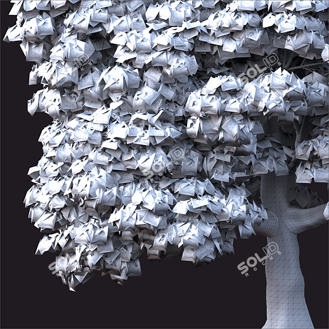 Evergreen Landscape Tree 3D model image 3