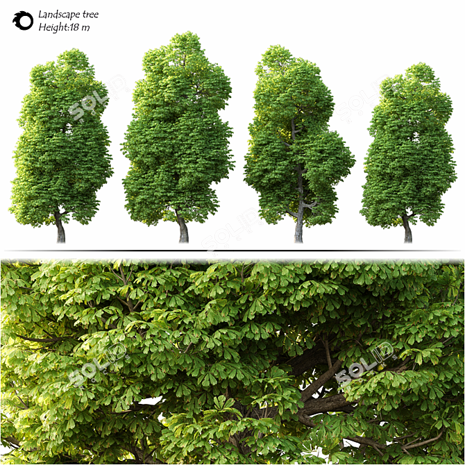 2014 Landscape Tree: Detailed 18м with Corona Render 3D model image 2