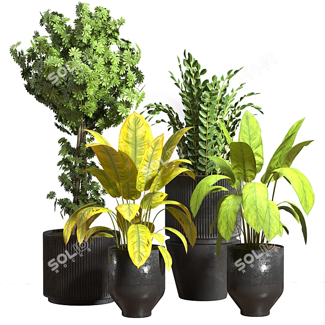 Tropical Oasis Indoor Plant Set 3D model image 1