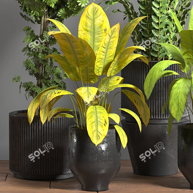 Tropical Oasis Indoor Plant Set 3D model image 3