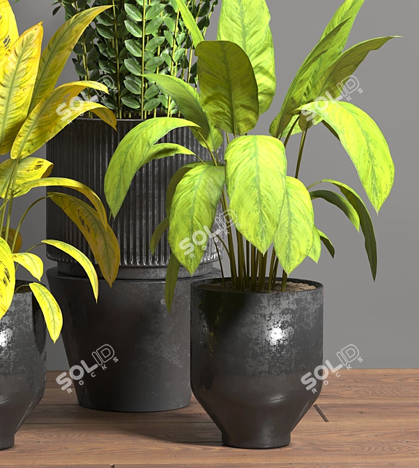 Tropical Oasis Indoor Plant Set 3D model image 4