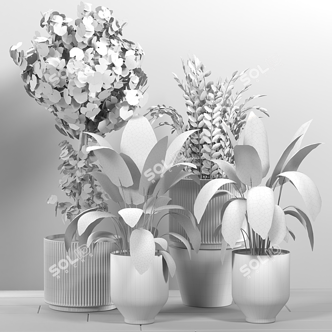 Tropical Oasis Indoor Plant Set 3D model image 6