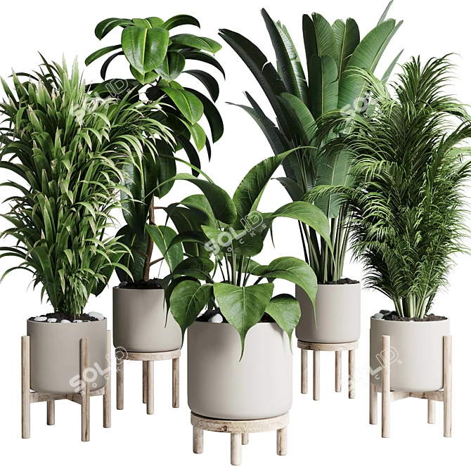 Natural Greenery Collection: Ficus, Rubbery Palm, and Ravenala in Wooden Vase 3D model image 1