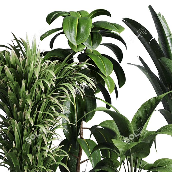 Natural Greenery Collection: Ficus, Rubbery Palm, and Ravenala in Wooden Vase 3D model image 3