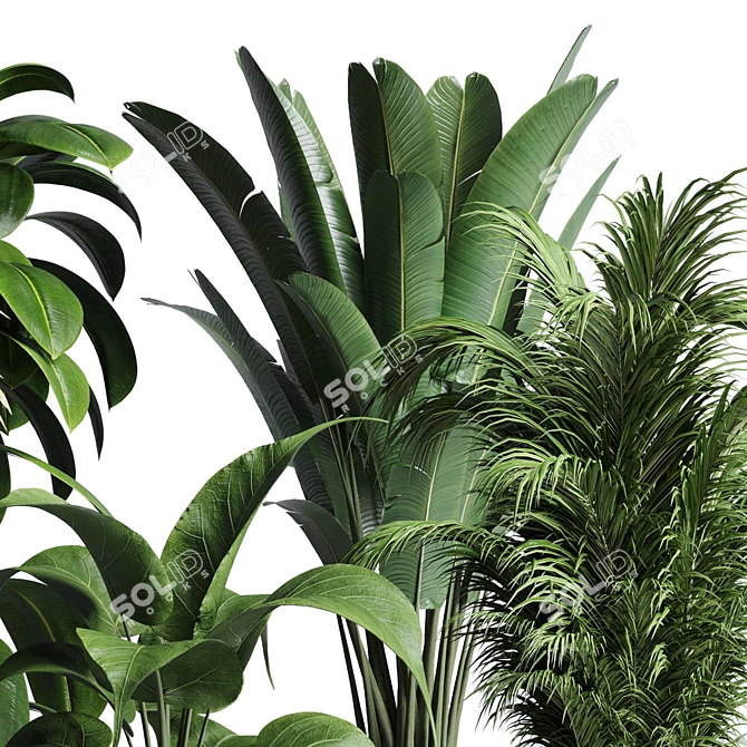 Natural Greenery Collection: Ficus, Rubbery Palm, and Ravenala in Wooden Vase 3D model image 4