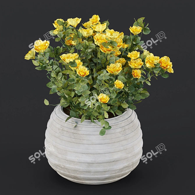 3D Rose Flowering Bushes Collection 3D model image 3