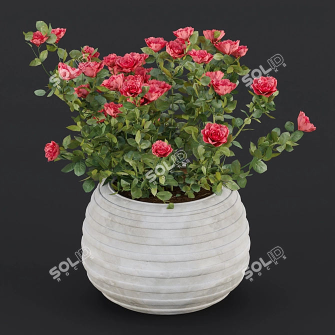 3D Rose Flowering Bushes Collection 3D model image 4