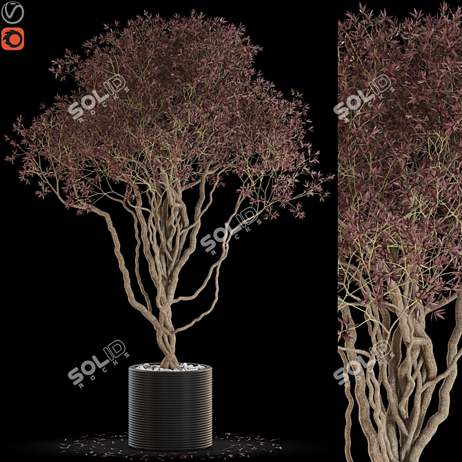 Green Oasis: Vibrant Plants Collection 3D model image 1