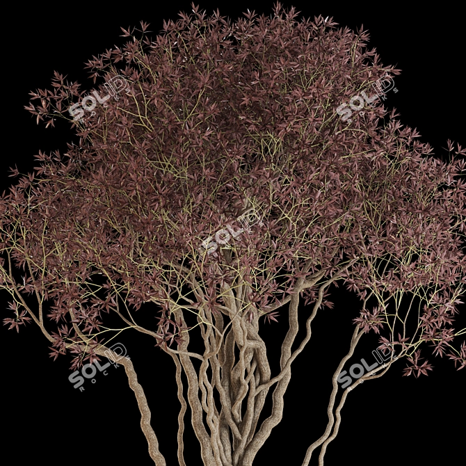 Green Oasis: Vibrant Plants Collection 3D model image 3