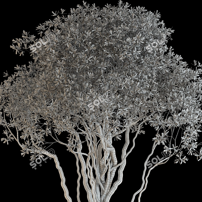 Green Oasis: Vibrant Plants Collection 3D model image 4