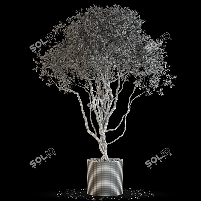 Green Oasis: Vibrant Plants Collection 3D model image 5