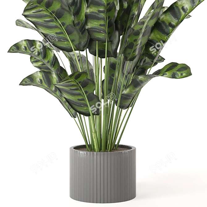 Playfully Green: Indoor Plants Collection 3D model image 2