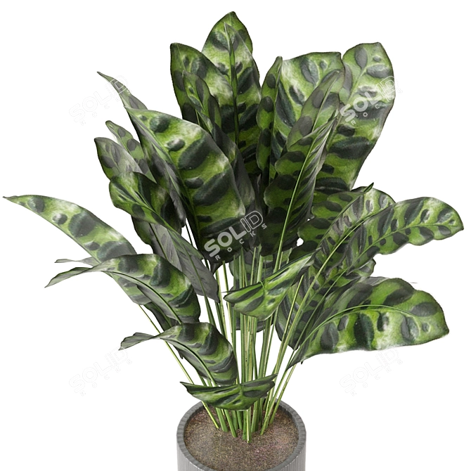 Playfully Green: Indoor Plants Collection 3D model image 4