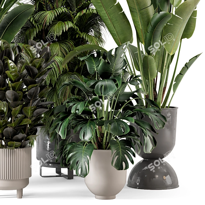 Modern Indoor Plants in Ferm Living Bau Pot - Set of 2 3D model image 2