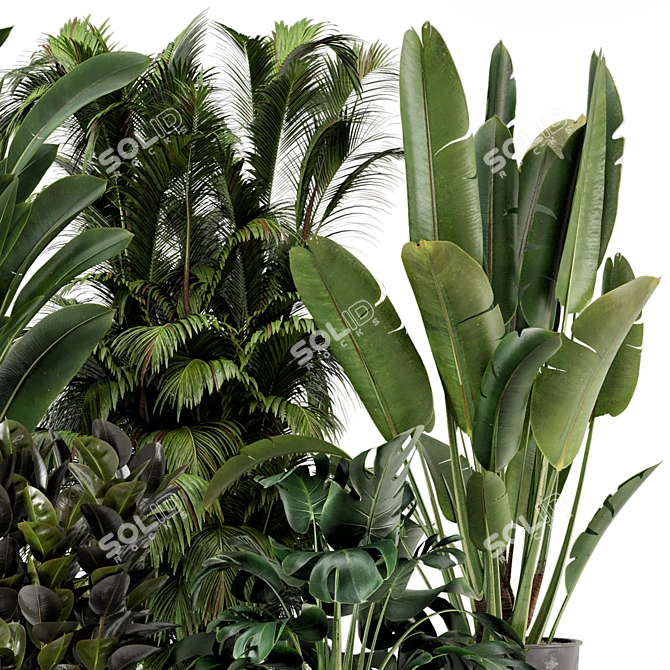 Modern Indoor Plants in Ferm Living Bau Pot - Set of 2 3D model image 3