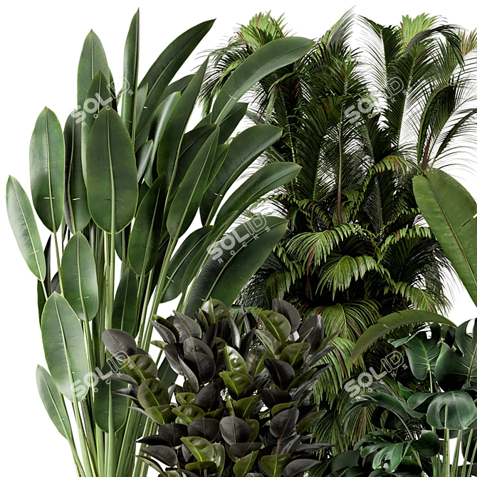 Modern Indoor Plants in Ferm Living Bau Pot - Set of 2 3D model image 4