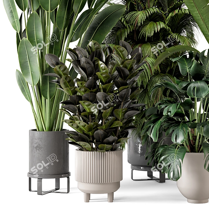 Modern Indoor Plants in Ferm Living Bau Pot - Set of 2 3D model image 5