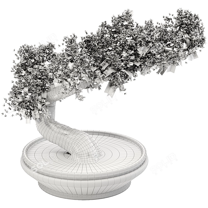  Exquisite Bonsai Tree - 2015 Edition 3D model image 5