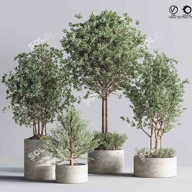 Indoor Plant Set: Greenery Delight 3D model image 1