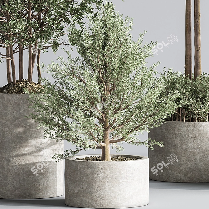 Indoor Plant Set: Greenery Delight 3D model image 5