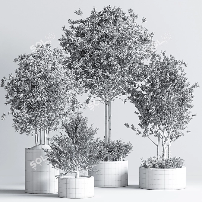 Indoor Plant Set: Greenery Delight 3D model image 7