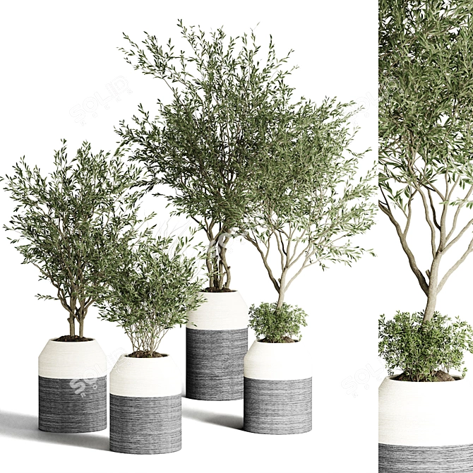 Modern Indoor Plant Collection 3D model image 1