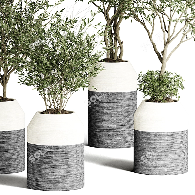 Modern Indoor Plant Collection 3D model image 2