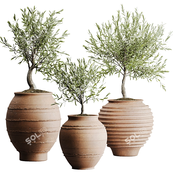 2015 Outdoor Plant Set: V-Ray, Corona, MAX 3D model image 4