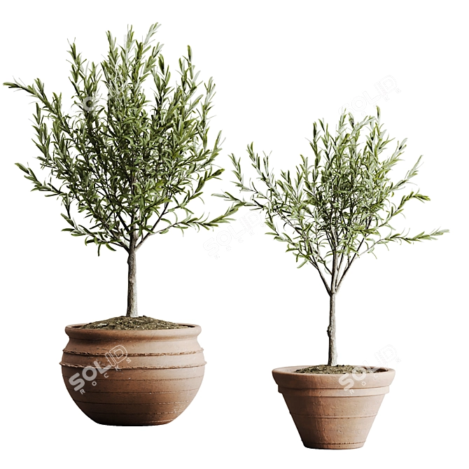 2015 Outdoor Plant Set: V-Ray, Corona, MAX 3D model image 5