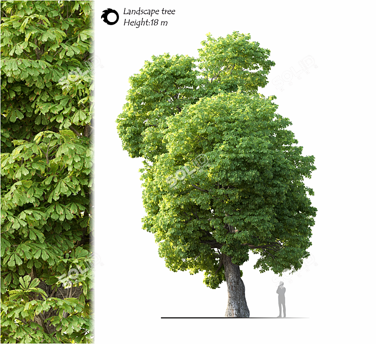  Majestic Landscape Tree: 2014 Edition 3D model image 1