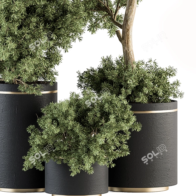 Green Oasis - Indoor Plant Set 3D model image 2