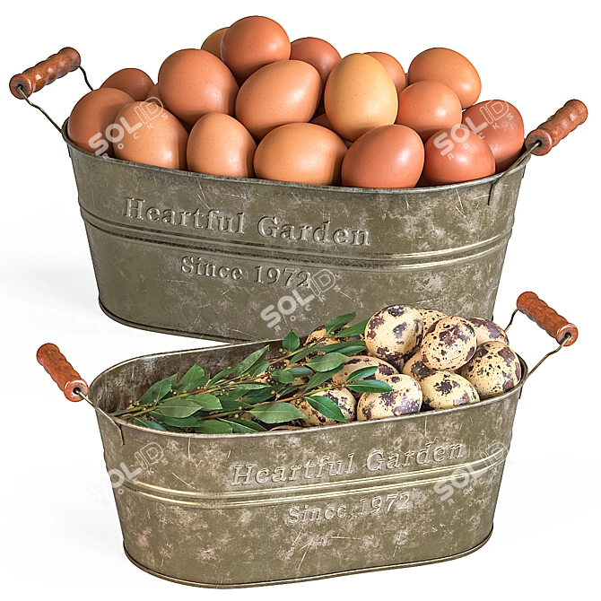 Elegant Egg Baskets: Chicken & Quail Eggs 3D model image 1