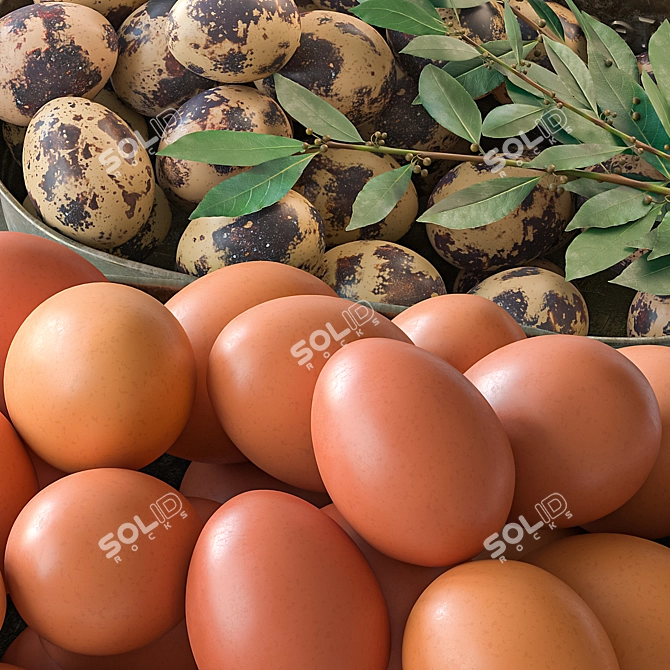 Elegant Egg Baskets: Chicken & Quail Eggs 3D model image 4