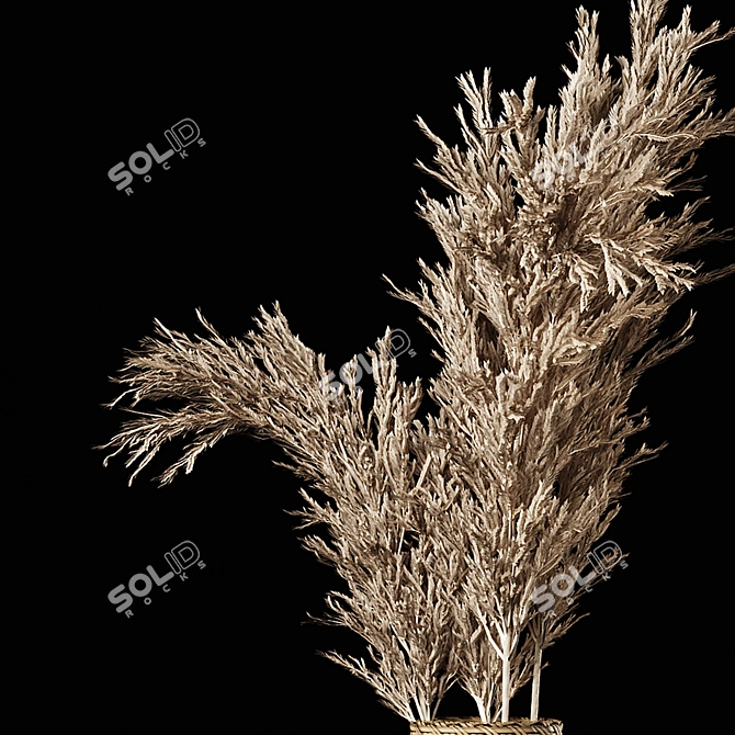 Pampas Bliss: Dried Bouquet & Rattan Vases 3D model image 5