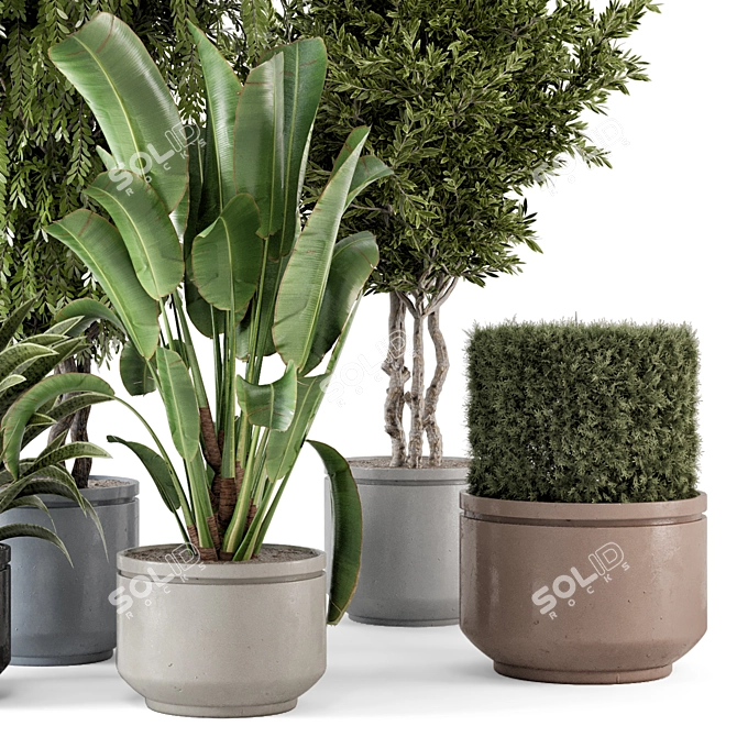 Rusty Concrete Pot Indoor Plants 3D model image 4