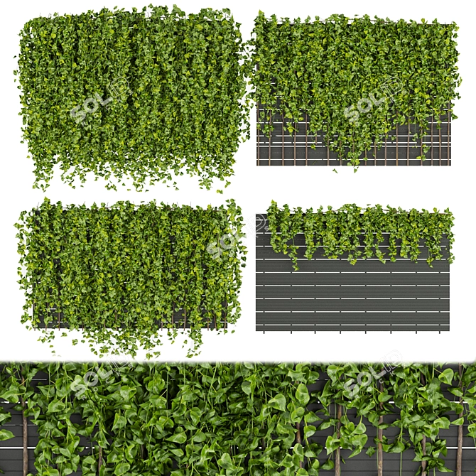 Fitowall Leaf Ivy - Collection Plant Vol 316 3D model image 1