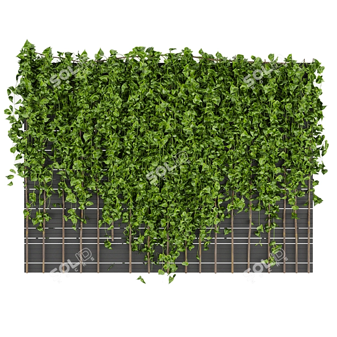 Fitowall Leaf Ivy - Collection Plant Vol 316 3D model image 2