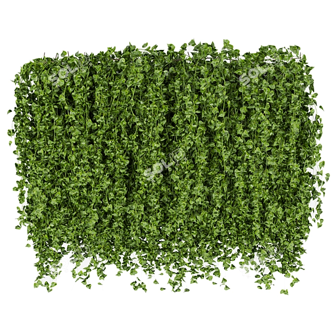 Fitowall Leaf Ivy - Collection Plant Vol 316 3D model image 3