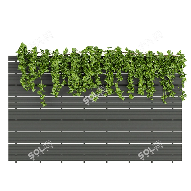 Fitowall Leaf Ivy - Collection Plant Vol 316 3D model image 4