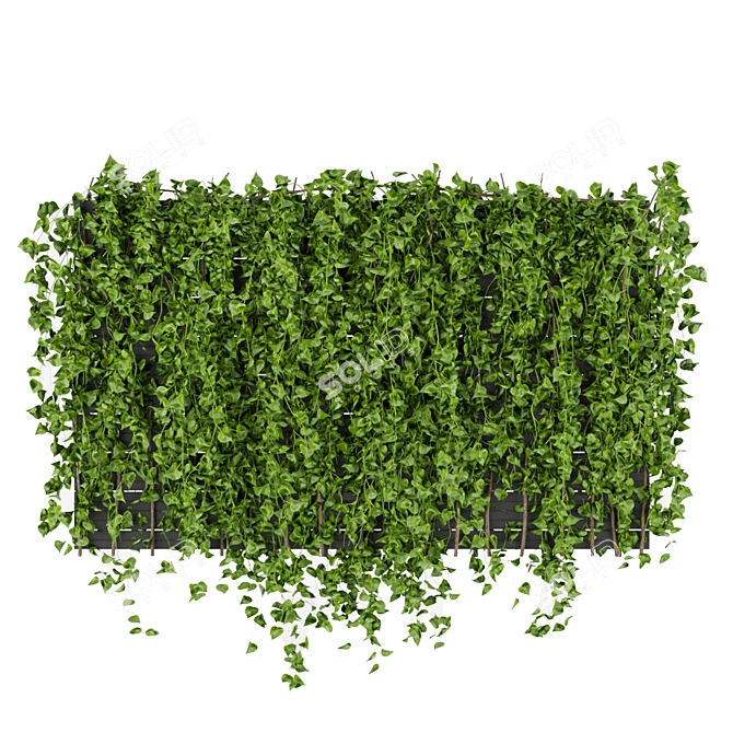 Fitowall Leaf Ivy - Collection Plant Vol 316 3D model image 5