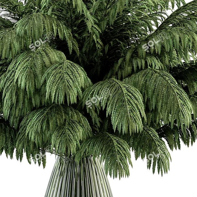 Fresh Fern Greenery | Glass Vase 3D model image 2